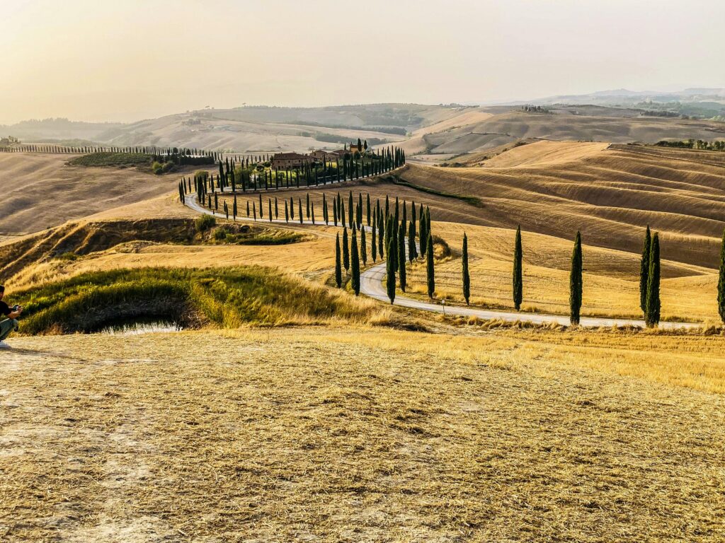 pexels photo 18676582 18676582 A scenic road winds through Tuscany's golden fields and cypress trees at sunset.